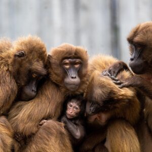 Aufstellungstag 28.03.2026 Stellvertreter:in