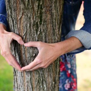 Selbstfürsorge und Gesundheitssicherung im therapeutischen Alltag 24.4.26 10-16 Uhr